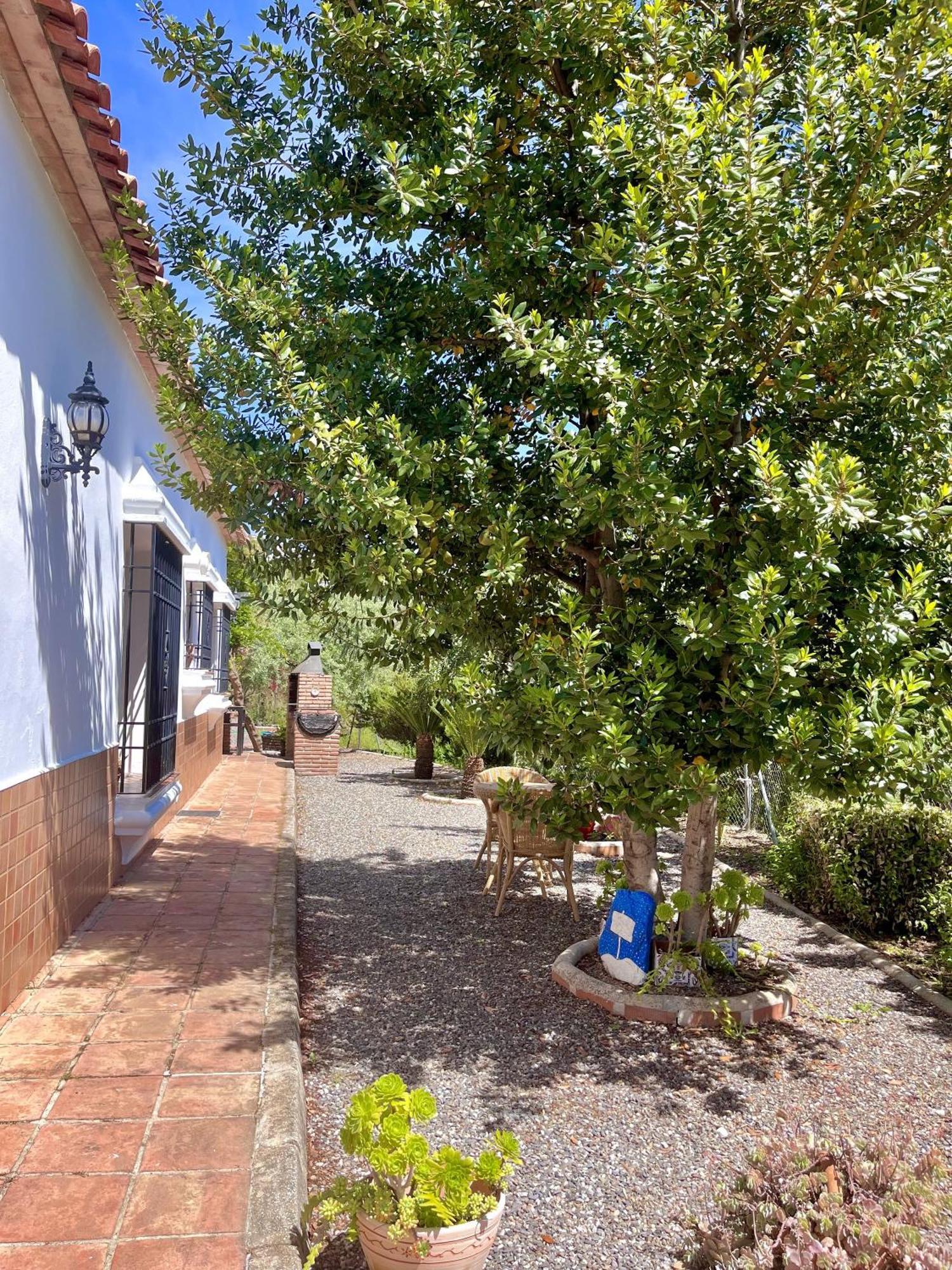 Finca Rural Mazuqueto Jubrique Εξωτερικό φωτογραφία