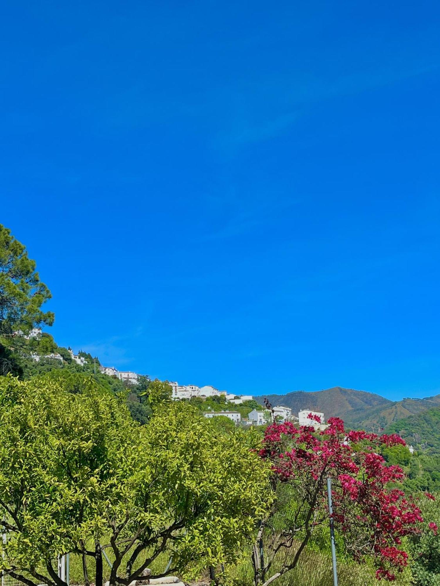 Finca Rural Mazuqueto Jubrique Εξωτερικό φωτογραφία
